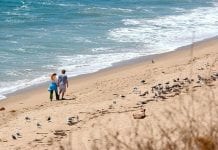 Stunning honeymoon destinations honeymoon-destination4.jpg