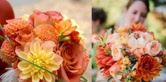 Peach Wedding Theme 3899dfe821816fbcb3db3e3b23f81585_XL.jpg