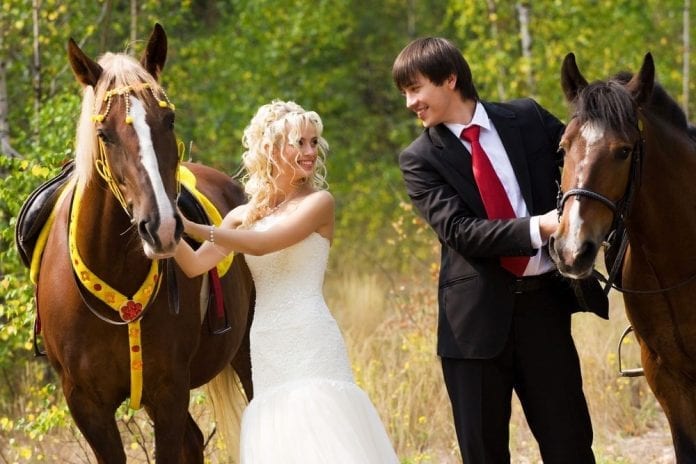 bride-groom-horses